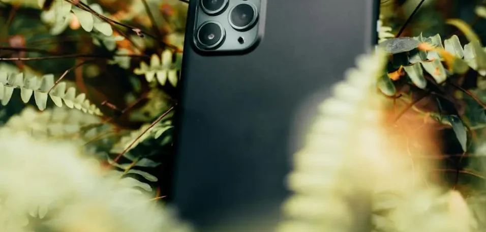 phone